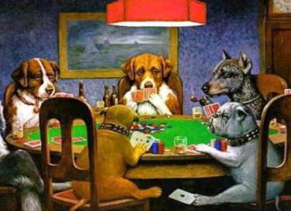 What a Poker game taught us about decision making
