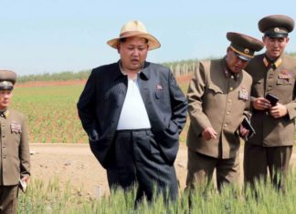 Why is it all quiet in North Korea?