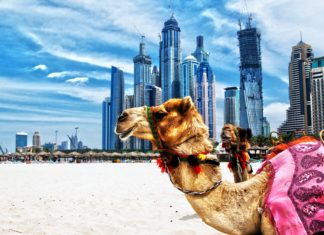 Middle East – Budding opportunities for ecommerce?