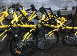 Ofo dismisses its international department