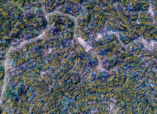 Aerial view of shared bicycle graveyards in China