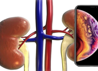 Did Apple play smart this time around?