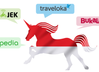 Indonesian Unicorns: what are they doing differently?
