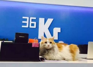 Even 36Kr doesn’t make money, what’s the future for other tech media?
