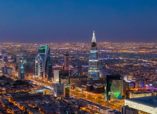 How would the Saudi government rank the ecommerce logistics?