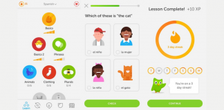 The anatomy of a buzzword: Gamification