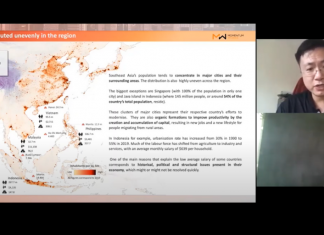 The connection between population density and economic development