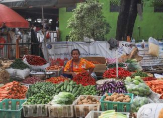 Grocery ecommerce in Indonesia – how do startups co-exist with giants like Shopee and Tokopedia?