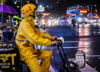 When government official and a post doc became food delivery drivers …