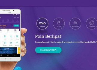 Gojek-Tokopedia merger could be blessing in disguise for OVO