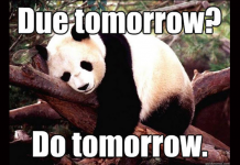 The art of procrastination
