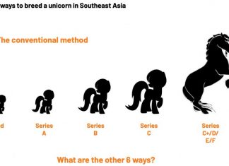 Seven ways to breed a Unicorn in Southeast Asia