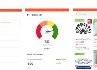 Deciphering Social Commerce #3 – Fintech needs e-commerce to win in rural Indonesia