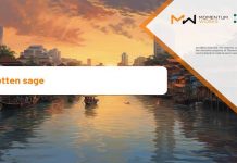 On stranger tides: Southeast Asia tech investment 2023 Part 3 – Forgotten sage