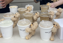 China Immersion: How teddy bears are involuting the retail scene