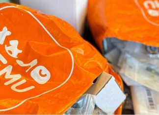 Temu to allow local sellers in US and Europe from March 2024