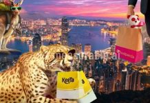 Meituan becomes top food delivery player in Hong Kong