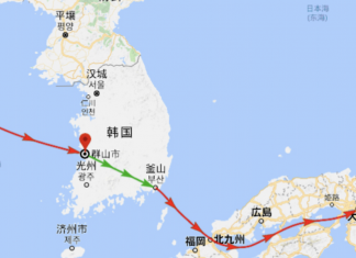Temu launches local marketplace in Korea and Japan