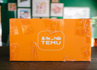 Temu receives endorsement from China’s official news agency