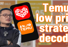 From China to the world: Temu’s low price strategy decoded | Impulso E110