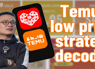 From China to the world: Temu’s low price strategy decoded | Impulso E110