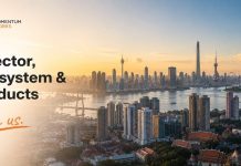 Join Momentum Works as Director, Ecosystem & Products